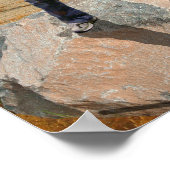 Maximum Poster (Hoek)