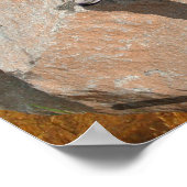 Maximum Poster (Hoek)