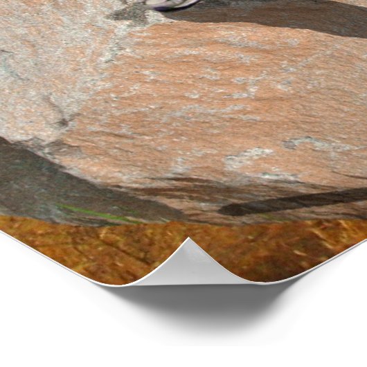 Maximum Poster (Hoek)