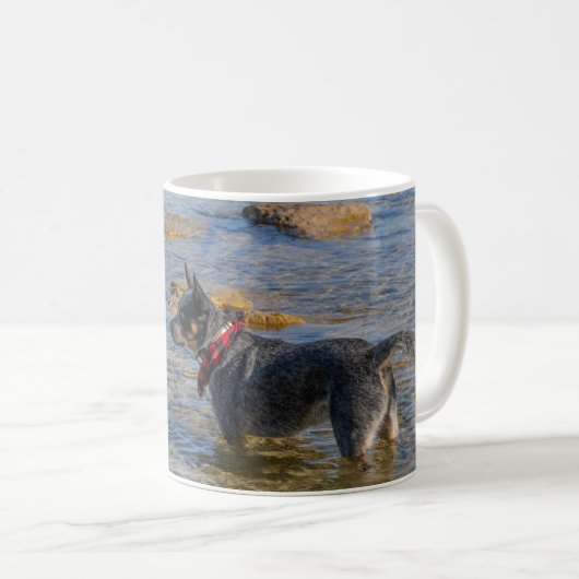 "Maximus" Blue Heeler Coffee Mok (Voorkant rechts)