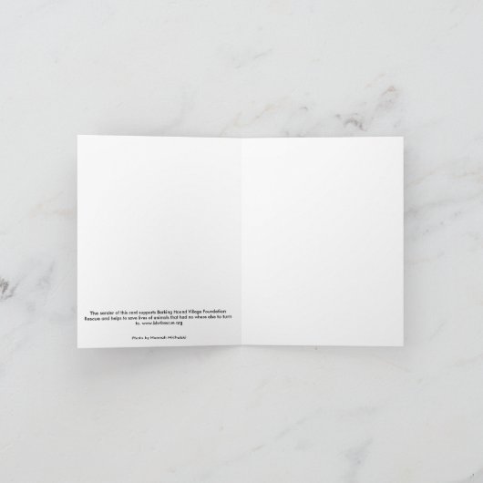 Maximus de kaart (Binnen)