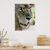 Maximus Poster (Keuken)