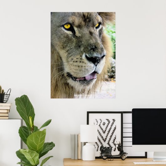 Maximus Poster (Thuiskantoor)