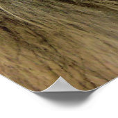 Maximus Poster (Hoek)