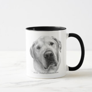 Maxwell, Lab-Pitbull Mix Mok