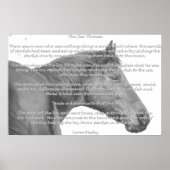 Maxx Starfish Poster (Voorkant)