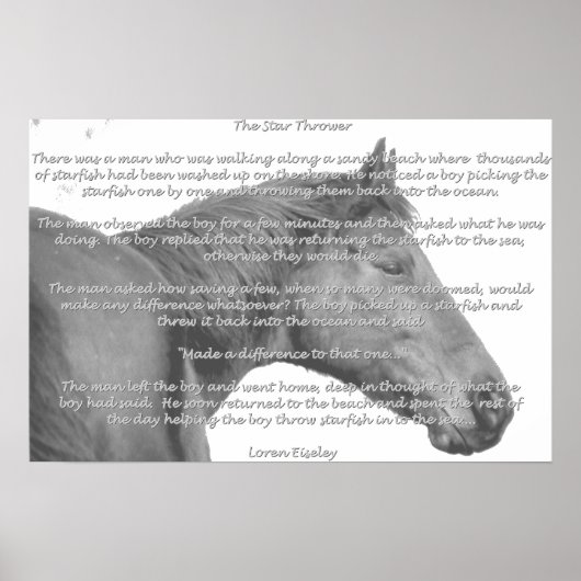 Maxx Starfish Poster (Voorkant)