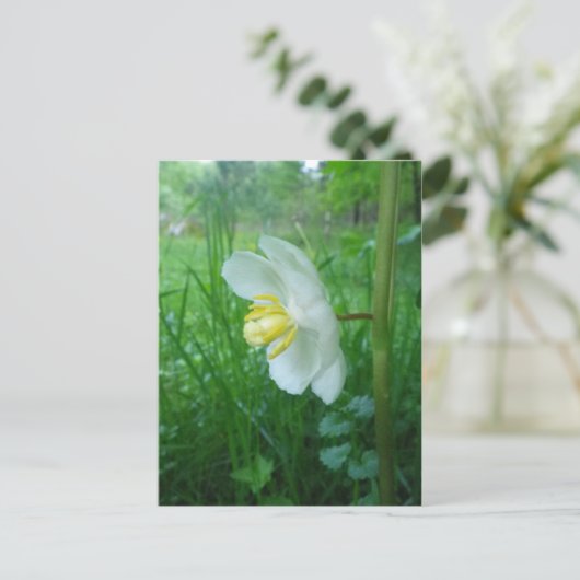 May Apple Blossom briefkaart (Staand voorkant)