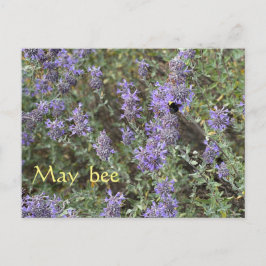 May Bee Briefkaart