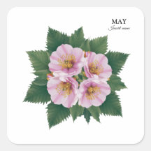 May Birthday Hawthorn Bloom: gepersonaliseerde blo