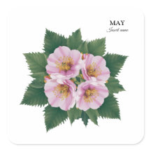 May Birthday Hawthorn Bloom: gepersonaliseerde blo