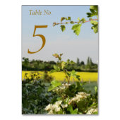 May Blossom Handfasting Table Kaart met gastenlijs (Voorkant)