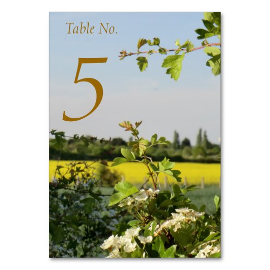 May Blossom Handfasting Table Kaart met gastenlijs (Voorkant)