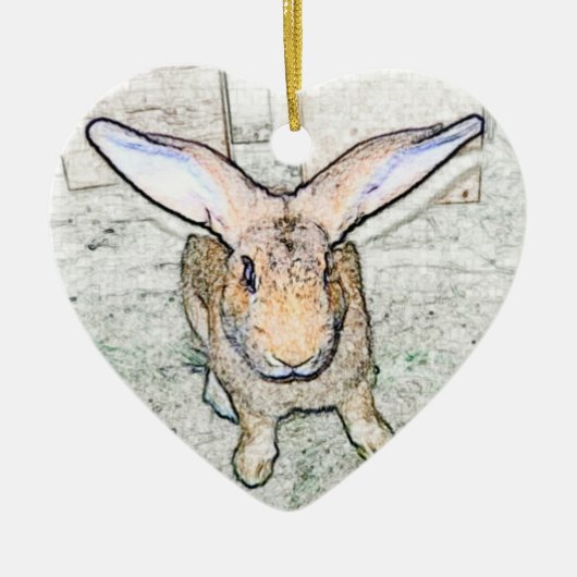 May Bunny Keramisch Ornament (Voorkant)