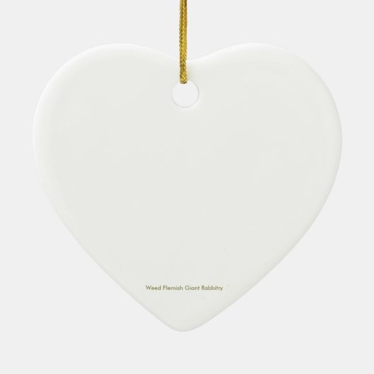 May Bunny Keramisch Ornament (Achterkant)