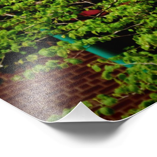 "May Dreams Soar" Foto Afdruk (Hoek)