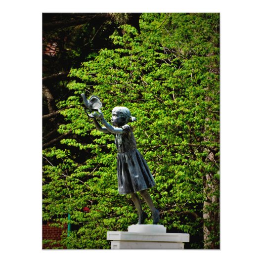 "May Dreams Soar" Foto Afdruk (Voorkant)