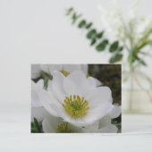 May Flower Blossom, Unalaska Island Briefkaart (Staand voorkant)