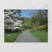 May Flowers Briefkaart (Voorkant)