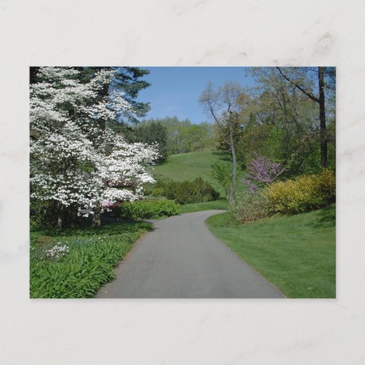 May Flowers Briefkaart (Voorkant)