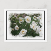 May Flowers Briefkaart (Voorkant)