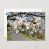 May Flowers Invitation Postcard Briefkaart (Voorkant / Achterkant)