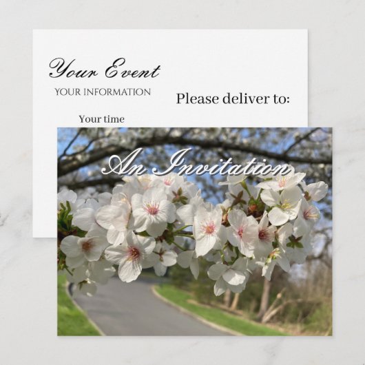 May Flowers Invitation Postcard Briefkaart (Voorkant / Achterkant)