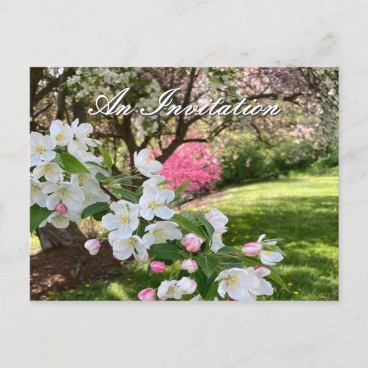 May Flowers Pink Invitation Postcard Briefkaart (Voorkant)