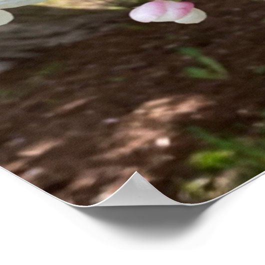 May Flowers Pink Rejoice Always Poster (Hoek)