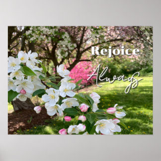 May Flowers Pink Rejoice Always Poster
