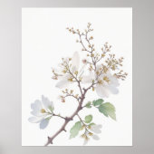 May Hawthorn Geboorte Bloem Poster (Voorkant)