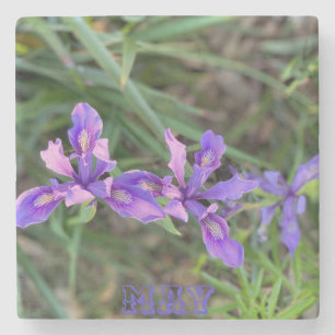 May Iris Stenen Onderzetter