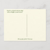 May River Chapel Palmetto Bluff Bluffton SC Briefkaart (Achterkant)