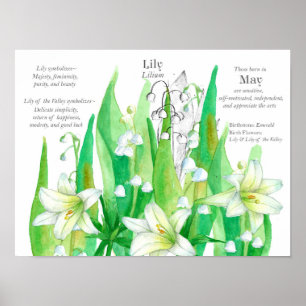 May Verjaardag Lily van de vallei Bloemen Groen Poster