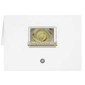 May Wedding Roos (Achterkant Horizontaal)