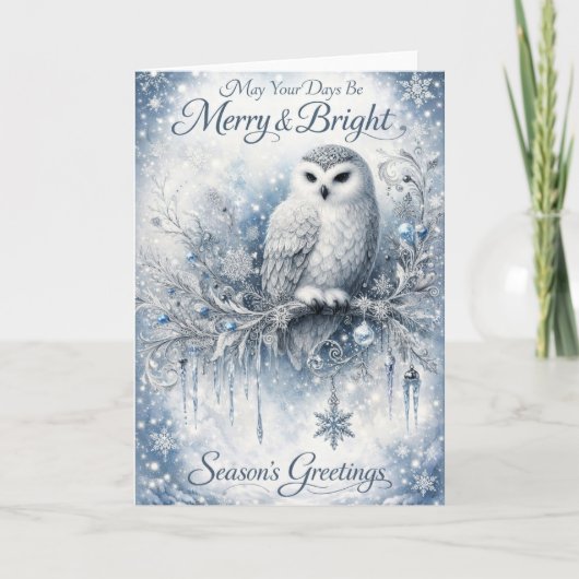 May Your Days Be Merry & Bright – Winter Owl Kaart (Voorkant)