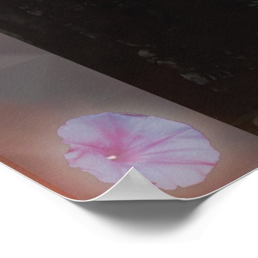 Maya 3D Poster (Hoek)