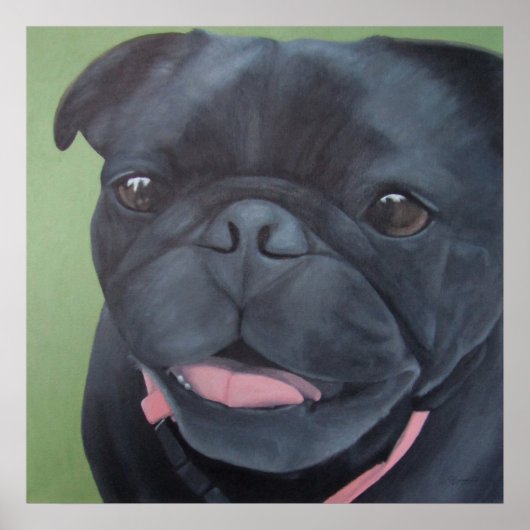Maya Black Pug Dog Poster (Voorkant)