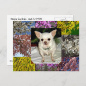 Maya Briefkaart (Voorkant / Achterkant)