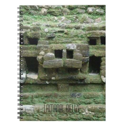 Maya Jaguar Temple Lamanai Belize Travel Journal Notitieboek (Voorkant)