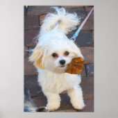 Maya met Leaf Print (Voorkant)