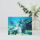 Maya van Costa Personaliseerbare Ertsader Briefkaart (Staand voorkant)