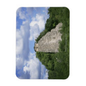 Mayaanse ruïnes van Coba, schiereiland Yucatan, Me Magneet (Verticaal)