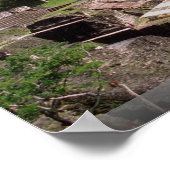 Mayan blijft, Tikal, Guatemala Poster (Hoek)