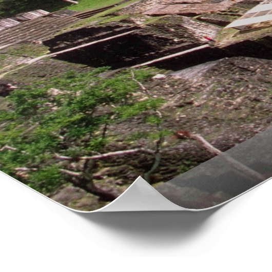 Mayan blijft, Tikal, Guatemala Poster (Hoek)