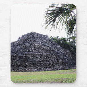 Mayan Memories Muismat