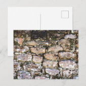 Mayan Ruïnes Muur  Briefkaart (Voorkant / Achterkant)