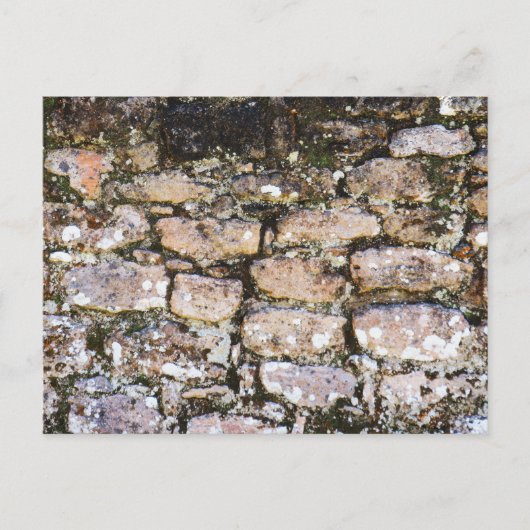 Mayan Ruïnes Muur  Briefkaart (Voorkant)