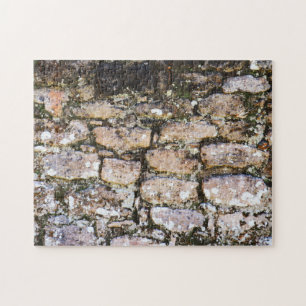 Mayan Ruïnes Muur Legpuzzel