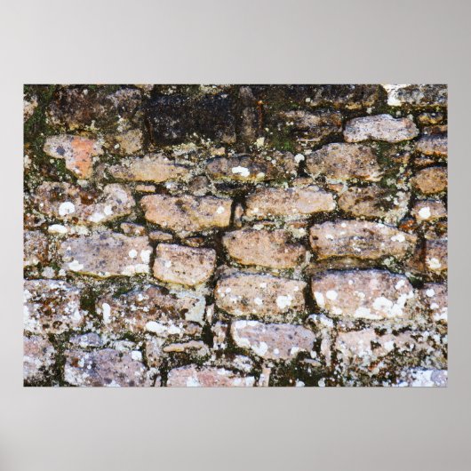 Mayan Ruïnes Muur  Poster (Voorkant)